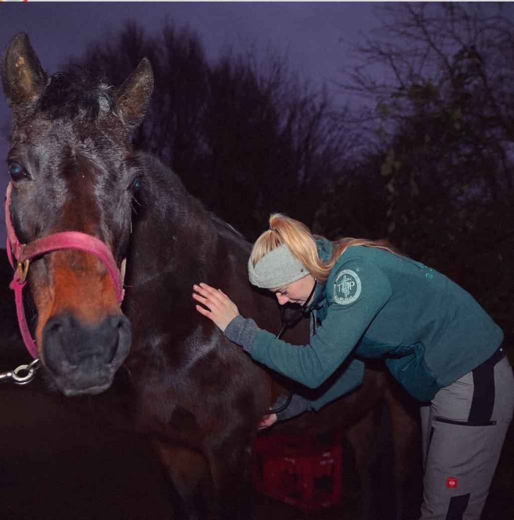 Tierheilpraktikerin und Ernährungsberaterin Doreen über ihre Erfahrung