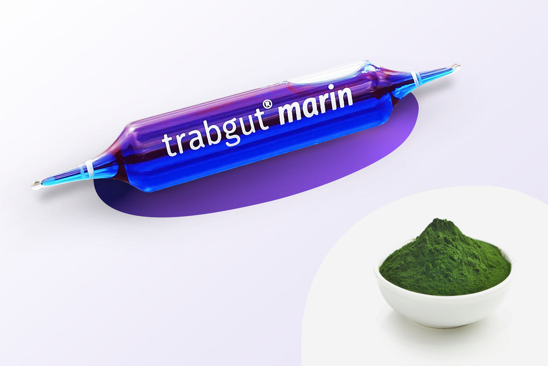 trabgut